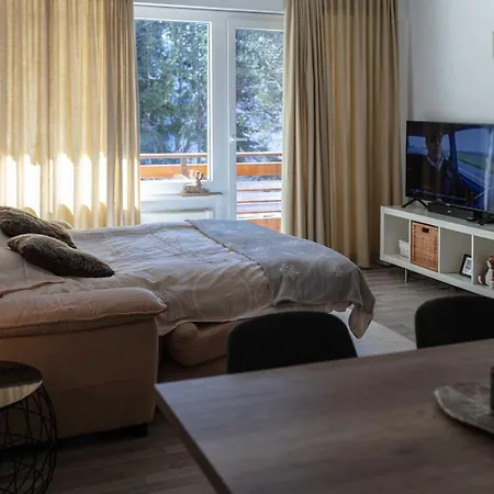 Grand Au Centre De アパート *