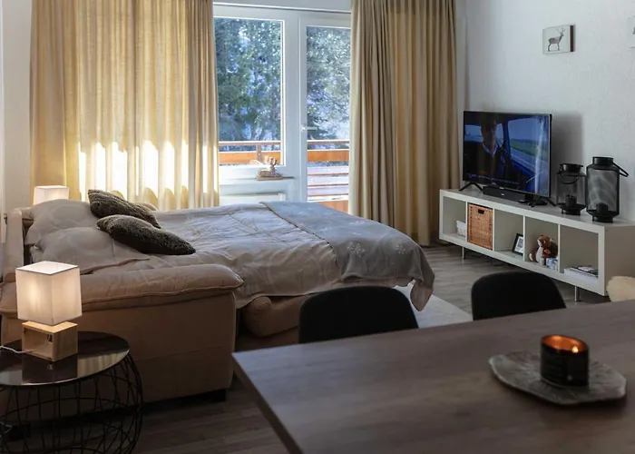 Grand Au Centre De Lejlighed *