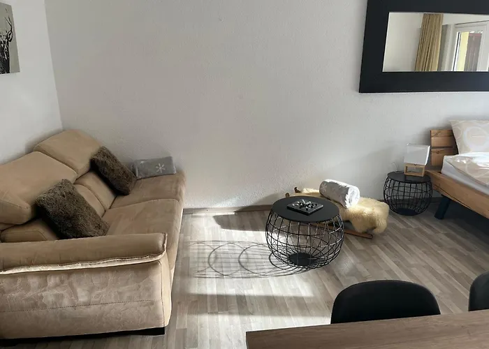 Grand Au Centre De Apartamento